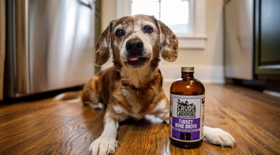 Serving Warm Broth in the Winter Months☃️